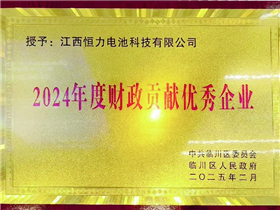 Outstanding Contribution Enterprise in 2024