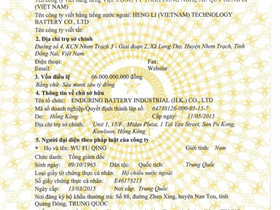 Vietnamese company business license