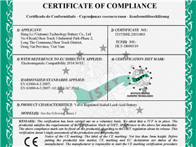 Vietnamese company CE certification