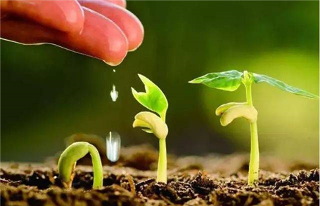 Environmental air, groundwater, soil test report